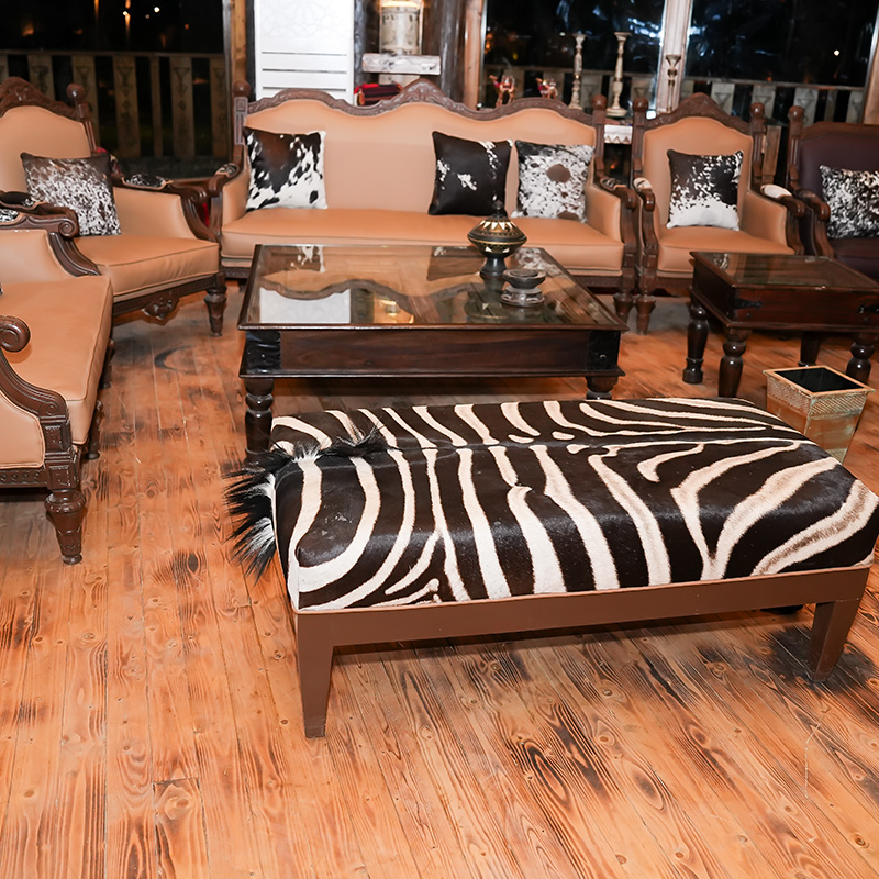 الأنشطة الترفيهية